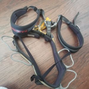 Mammut Climbing Harness